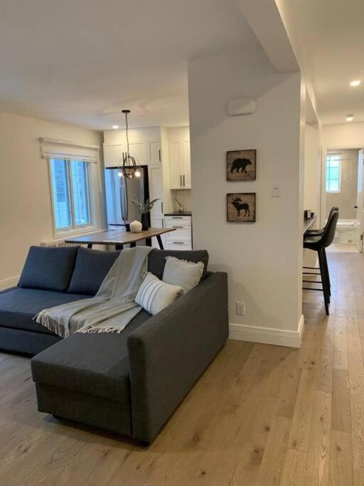 Free Parking, Beautiful 4 1/2- 2 Bedroom Apartment Montreal Exterior photo
